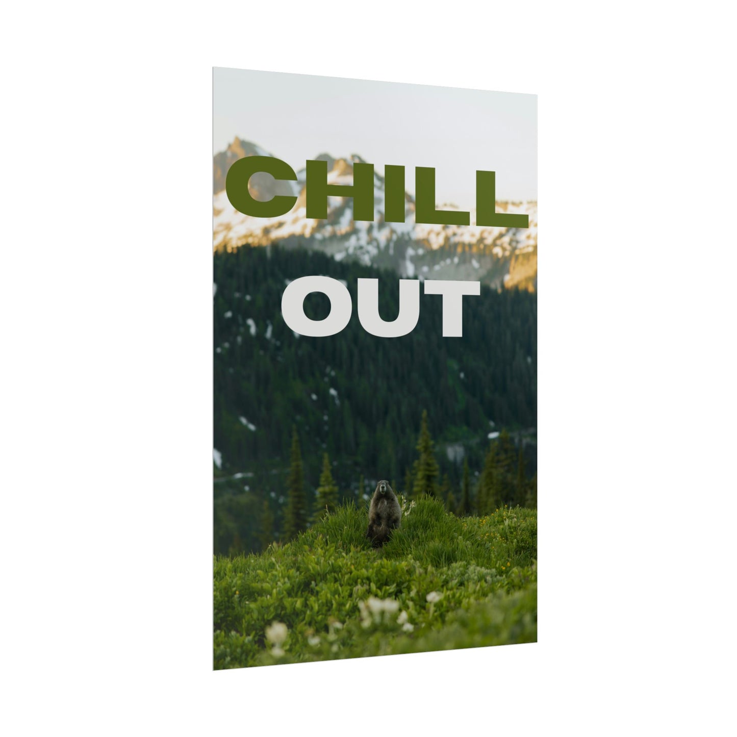Chill Out | Nature Poster