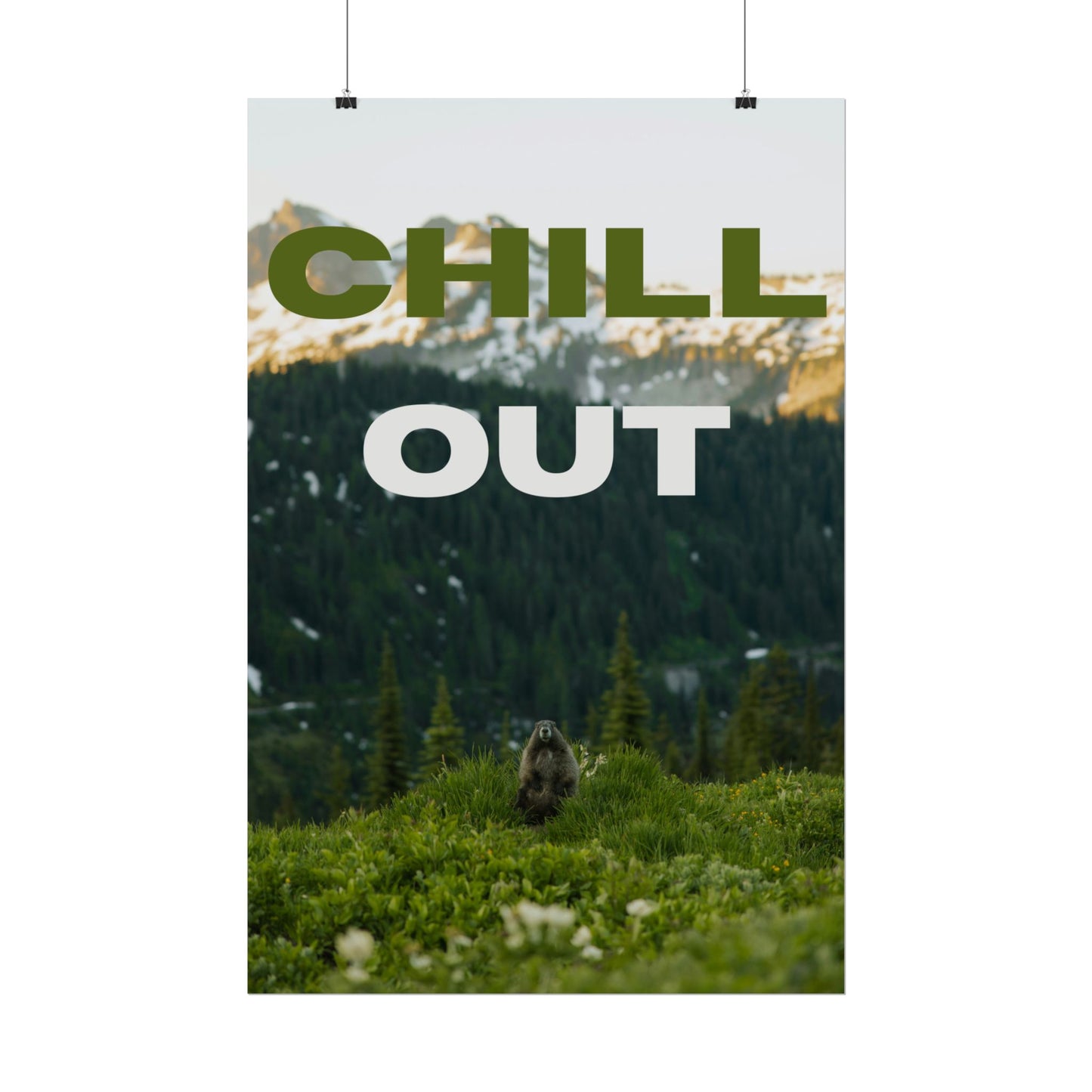 Chill Out | Nature Poster