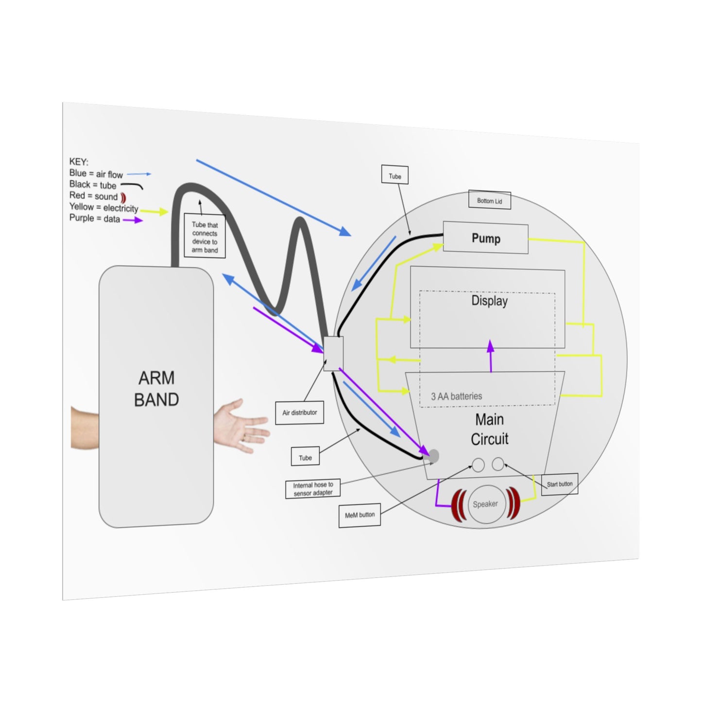 Blood Presure Monitor Functional Schematic