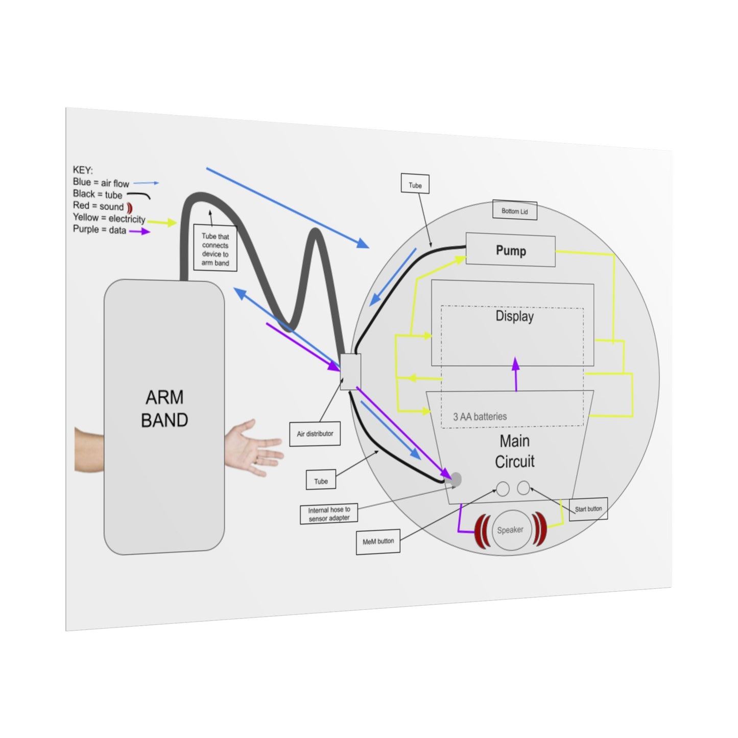 Blood Presure Monitor Functional Schematic
