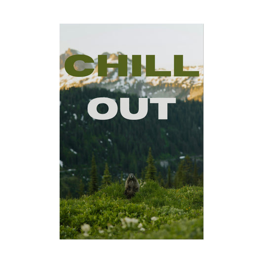 Chill Out | Nature Poster