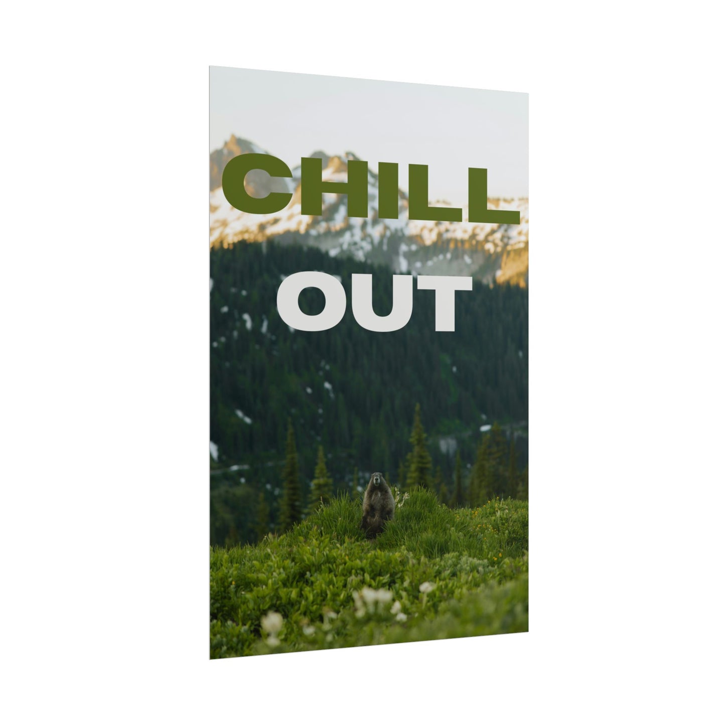 Chill Out | Nature Poster