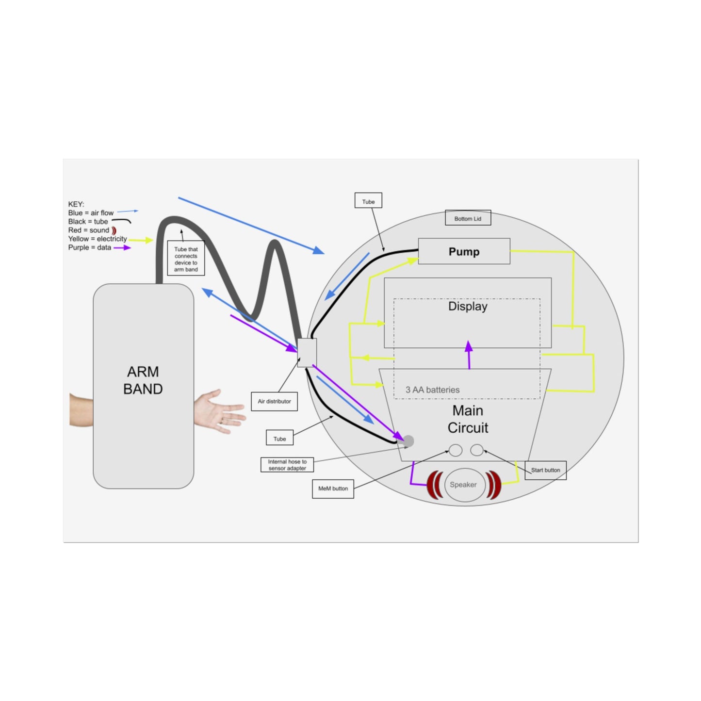 Blood Presure Monitor Functional Schematic